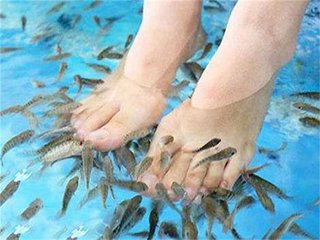 他10年沒洗腳足浴毒死魚! 老闆因為這個"不收錢"