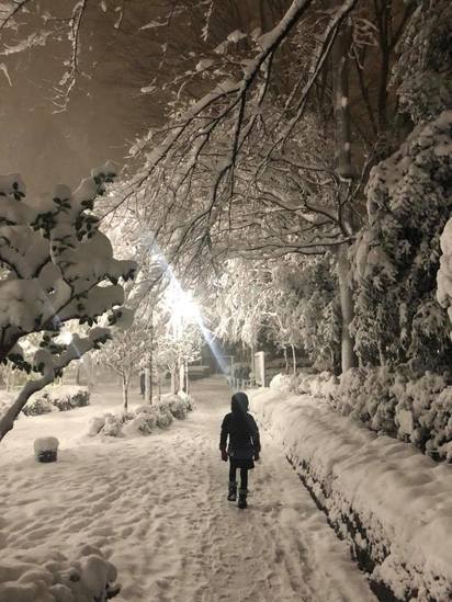 東京遭罕見大雪襲擊 知名主持人住處也遭殃! | (翻攝吳淡如臉書)