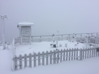 今晨新竹最低溫9.5度 玉山再白頭積雪7.5公分