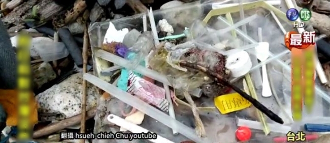 環保署公布限塑時程 明年起內用禁塑膠吸管 | 華視新聞