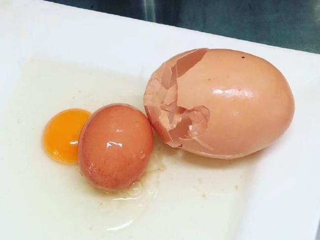 蛋中蛋! 澳洲母雞產巨蛋 打破發現驚喜 | 華視新聞