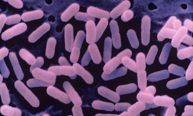 預防李斯特菌感染 食藥署提供"5個小撇步" | 華視新聞