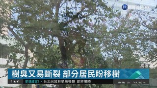 公園改建將移樹 護樹團體抗議