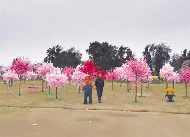 中國莊園稱有"櫻花海" 民眾買票進場發現全是塑膠花 | 華視新聞