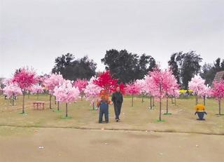 中國莊園稱有"櫻花海" 民眾買票進場發現全是塑膠花