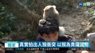 台灣獼猴躍國際 紀錄片獲獎