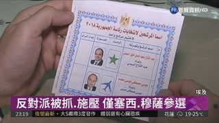 埃及總統大選 3/27正式登場