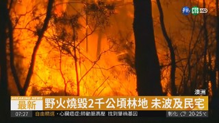 澳洲秋季酷熱 雪梨森林大火狂燒