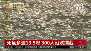 敬鵬汙染害死13噸魚 員工自主打撈!