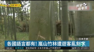 景點搞破壞 京都嵐山竹林遭刻字
