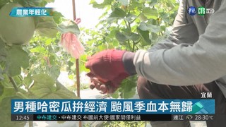 台灣農業新活水 青年農夫回鄉耕耘