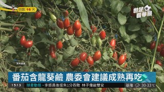 生番茄含龍葵鹼 農委會建議吃熟的