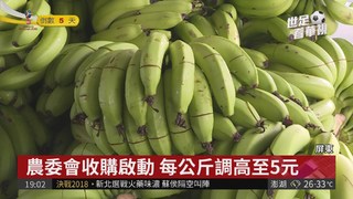 香蕉價格"崩盤" 成堆香蕉拿去當肥料