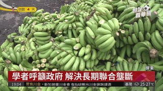 香蕉盛產價崩跌 學者:大盤聯合壟斷