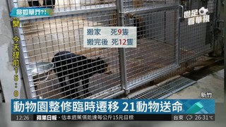 新竹市立動物園整修 21動物送命!
