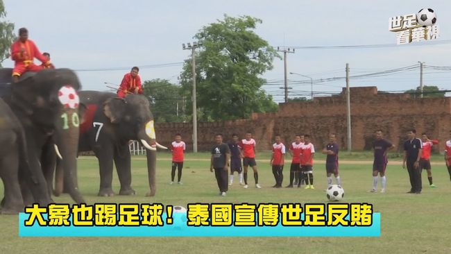 大象也踢足球! 泰國宣傳世足反賭 | 華視新聞