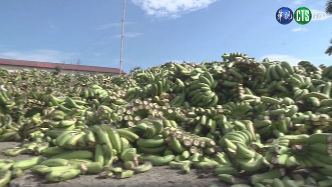 香蕉.鳳梨產銷已穩定 農糧署籲:勿傷害農民 | 華視新聞