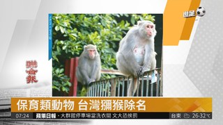 台灣獼猴、山羌等8種保育類動物降為一般類