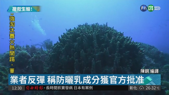 防曬乳會傷害珊瑚礁 夏威夷要禁售 | 華視新聞