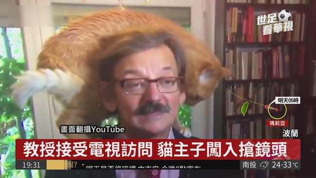 波蘭教授受訪 貓主子闖入搶鏡頭 | 華視新聞