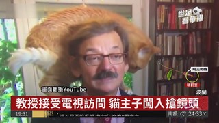 波蘭教授受訪 貓主子闖入搶鏡頭