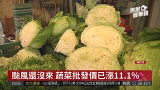 颱風還沒來 蔬菜批發價已漲11.1%