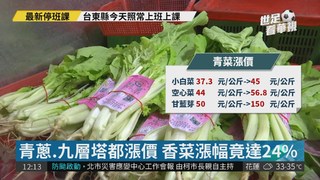 颱風預期心理影響 蔬菜批發價漲1成