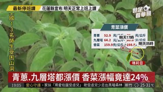 颱風預期心理影響 蔬菜批發價漲1成