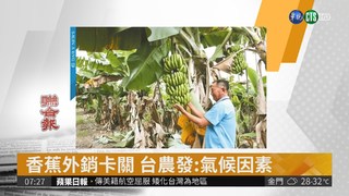香蕉外銷卡關 台農發:氣候因素