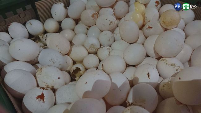 長蟲壞蛋做蛋液 賣桃竹苗烘焙店 | 華視新聞