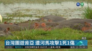 台灣團遊肯亞 遭河馬攻擊1死1傷