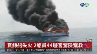 花蓮賞鯨船失火 46人驚險脫險