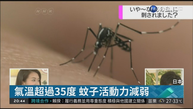 熱昏了! 梅雨季短+高溫 蚊子活動力弱 | 華視新聞