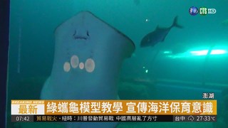 澎湖水族館重開 海底世界超壯觀