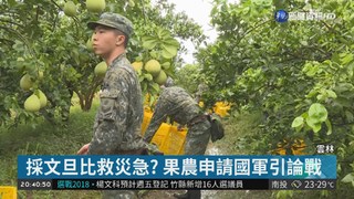 斗六果農申請國軍採收文旦 引發論戰