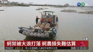 暴雨襲南台灣 東石鄉蚵仔.鰻魚減產