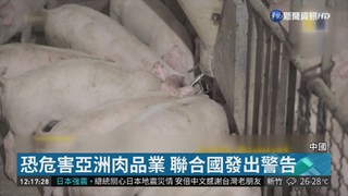中國"非洲豬瘟"蔓延 恐危害亞洲肉品業