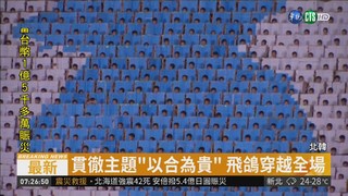 北韓阿里郎復活 主題"以和為貴"