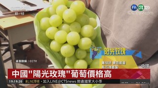 日"晴王"麝香葡萄 中疑非法移植栽種