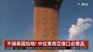 貿易戰延燒 外媒:中將不進口美國大豆