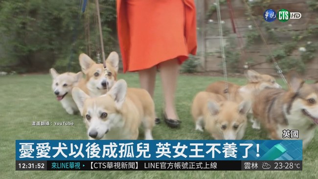 飼養柯基犬74年 英女王心痛不養了 | 華視新聞