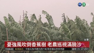 東北季風+颱風環流 風飛沙狂掃台東