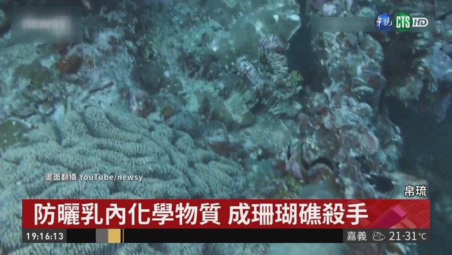 搶救珊瑚礁! 帛琉禁用化學防曬乳 | 華視新聞