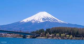 直達富士山麓更快了! JR東日本將新設特快列車