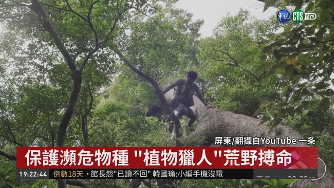保護瀕危物種 "植物獵人"荒野搏命 | 華視新聞