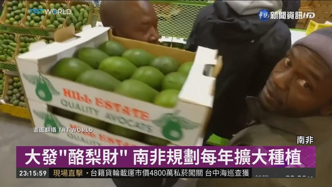 "水果之王"身價漲 南非靠酪梨賺39億 | 華視新聞