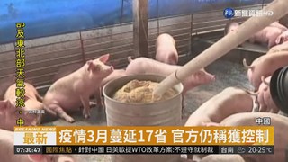中國"非洲豬瘟"蔓延 17省淪陷