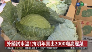 農委會救菜價! 100噸高麗菜裝櫃銷日本