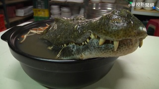 【放4大吃】鱷魚料理大揭密