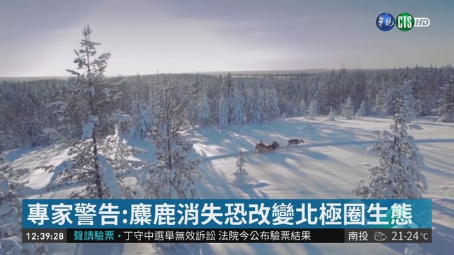 暖化毀生態! 童話"麋鹿拉雪橇"成絕響 | 華視新聞